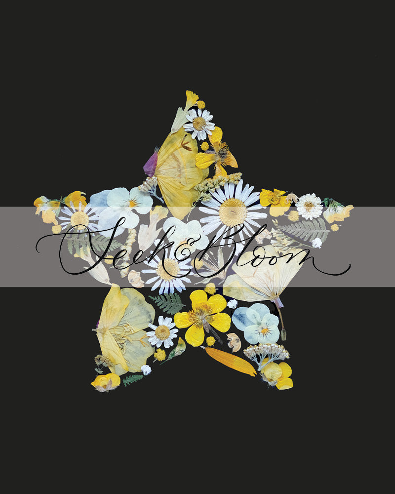 Star, Pressed Flower Art Print