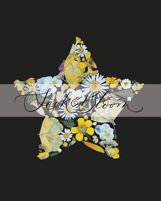 Star, Pressed Flower Art Print