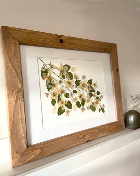 Apple Blossom Memory - Original Pressed Flower Artwork Framed