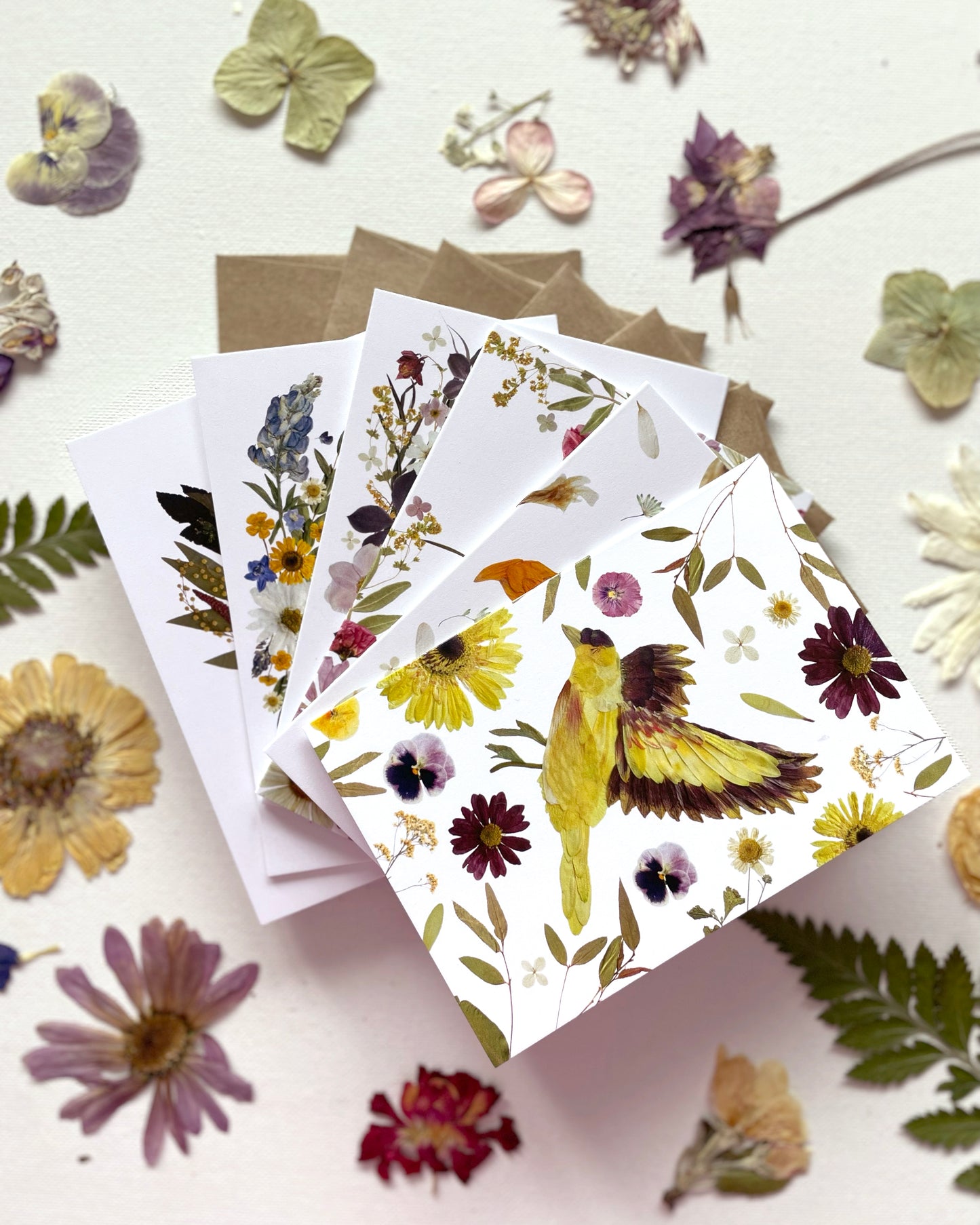 Birds in Bloom - Mixed Note Card Set