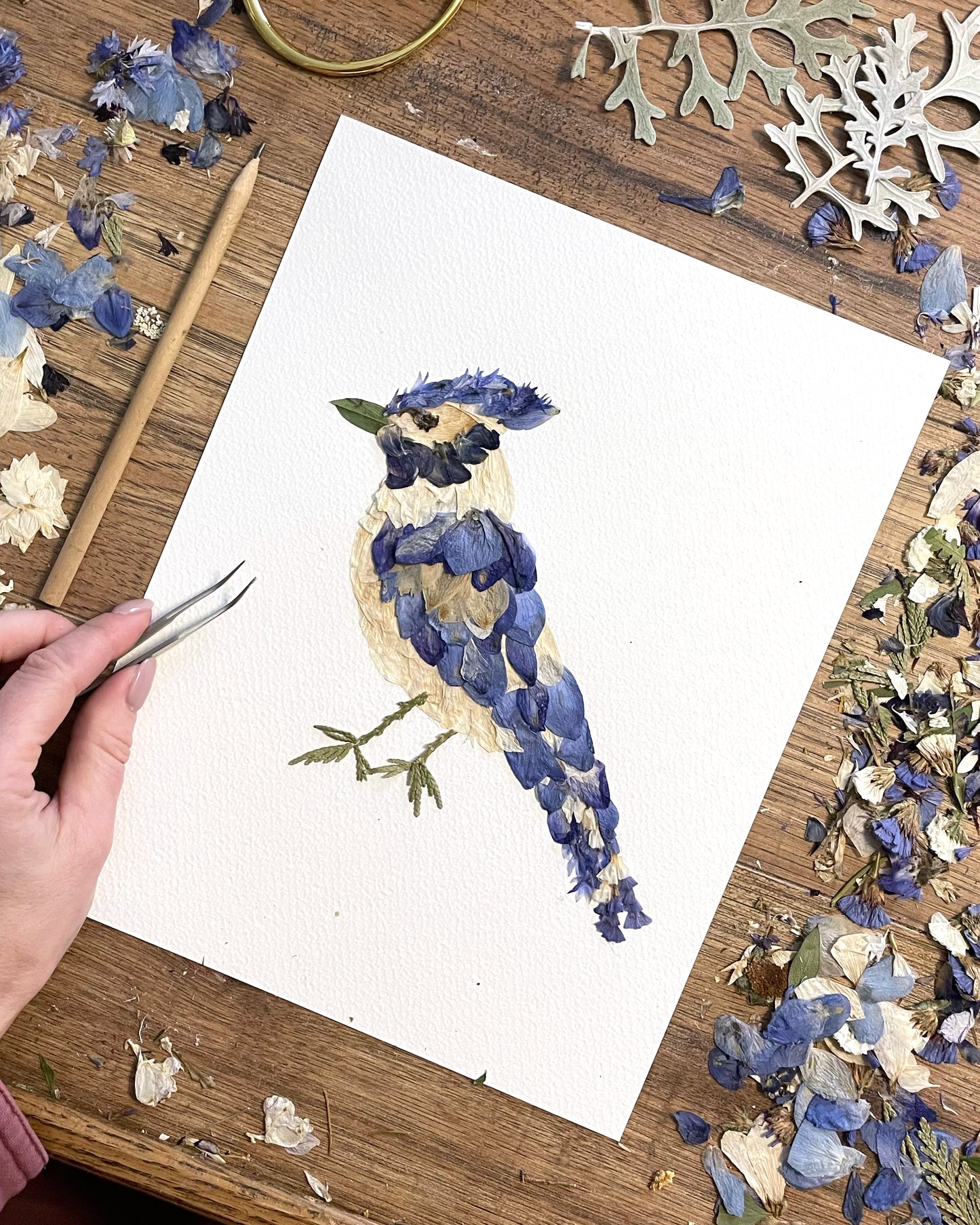 Bird Blue Jay - Pressed Flower Print