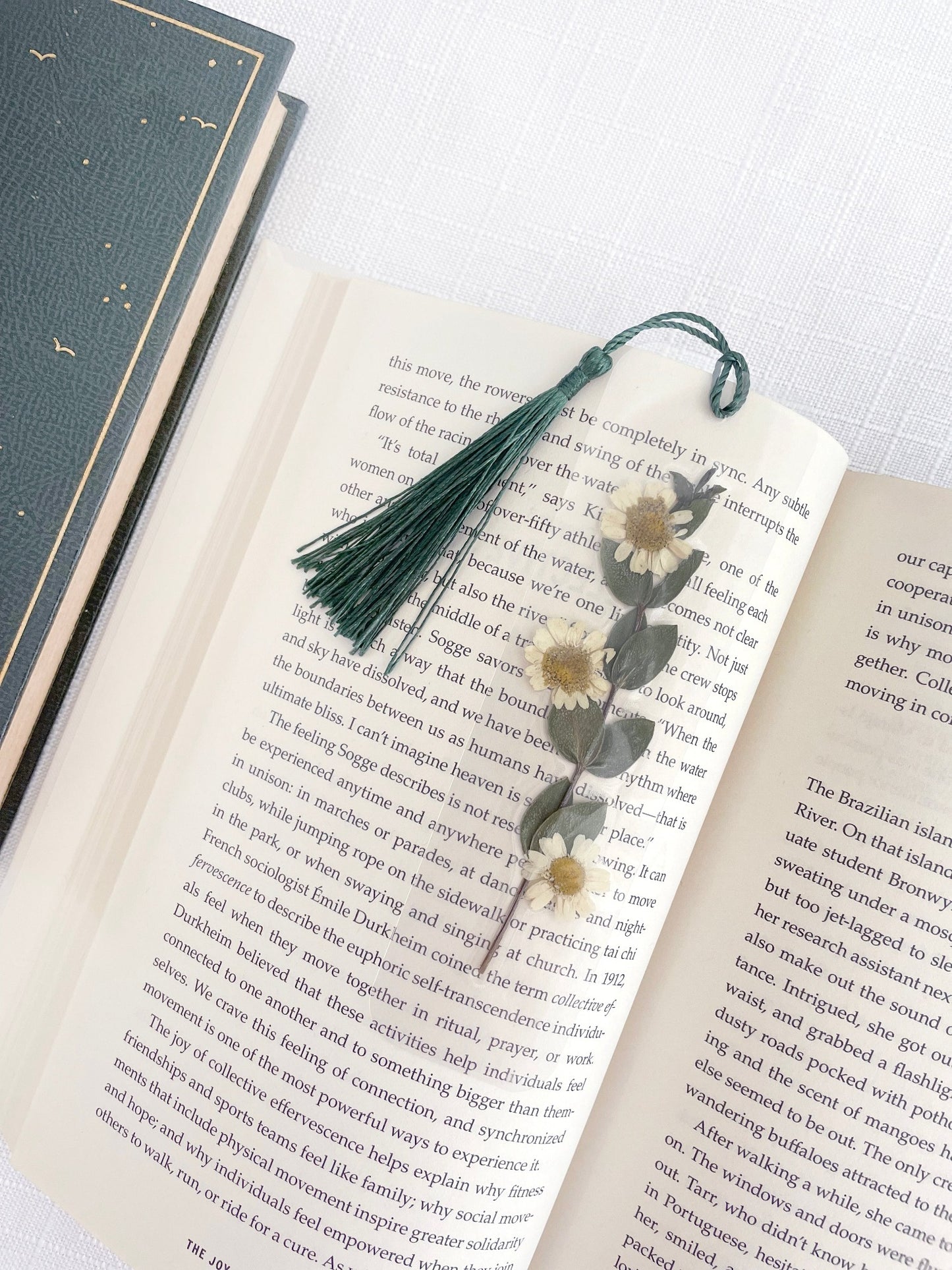 Pressed flower bookmarks with real dried flowers in clear laminate and colourful tassles