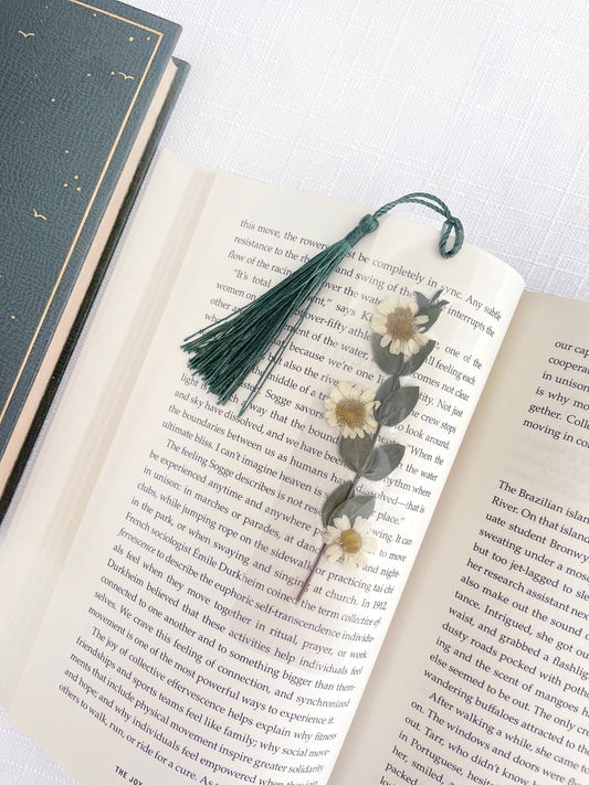 Pressed flower bookmarks with real dried flowers in clear laminate and colourful tassles