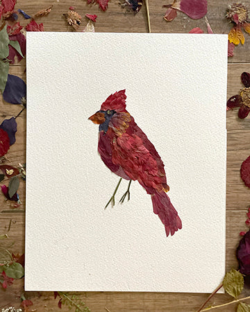 Cardinal, Pressed Flower Art Print
