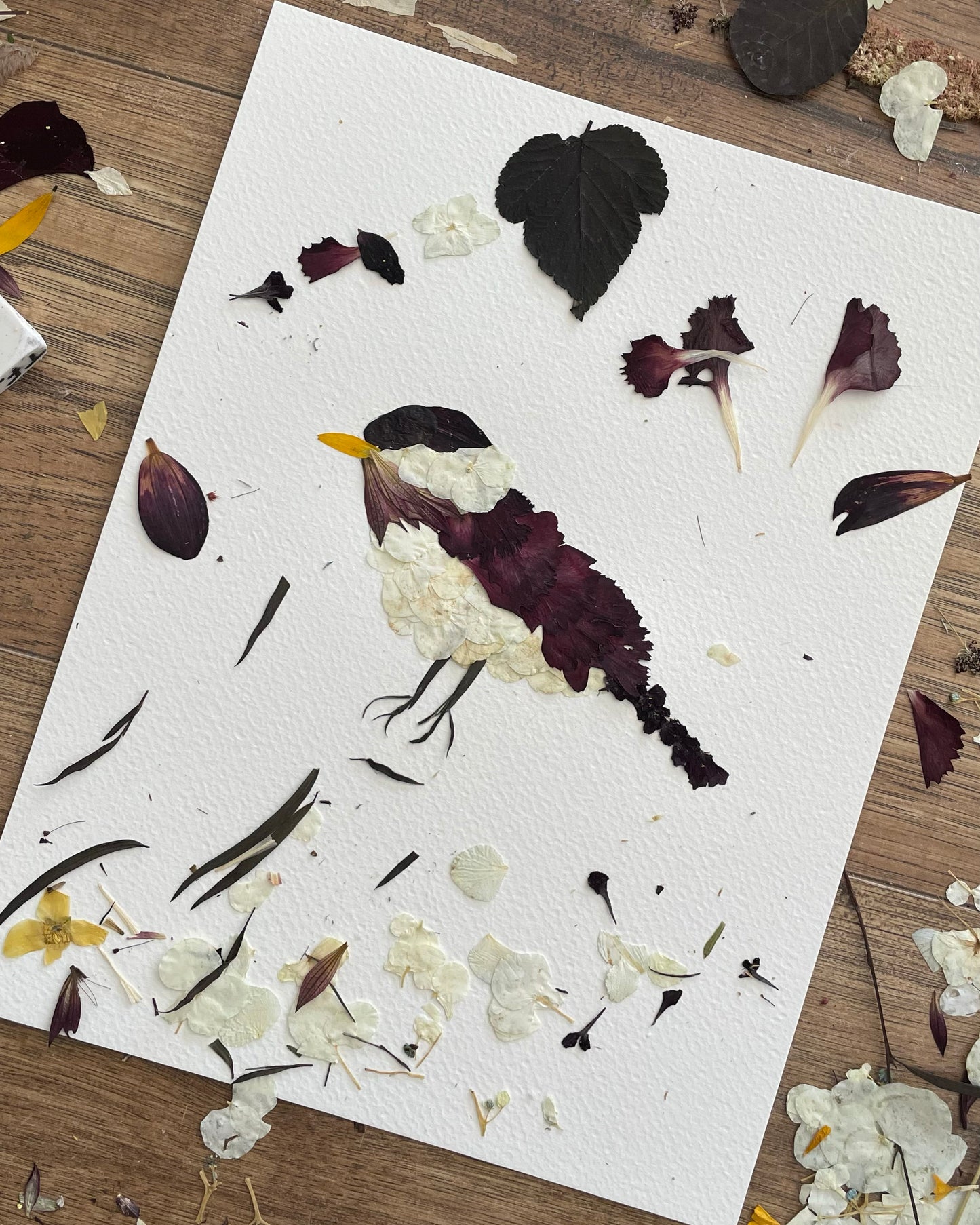 Chickadee "Snowy Songbird" - Original Pressed Flower Artwork Framed