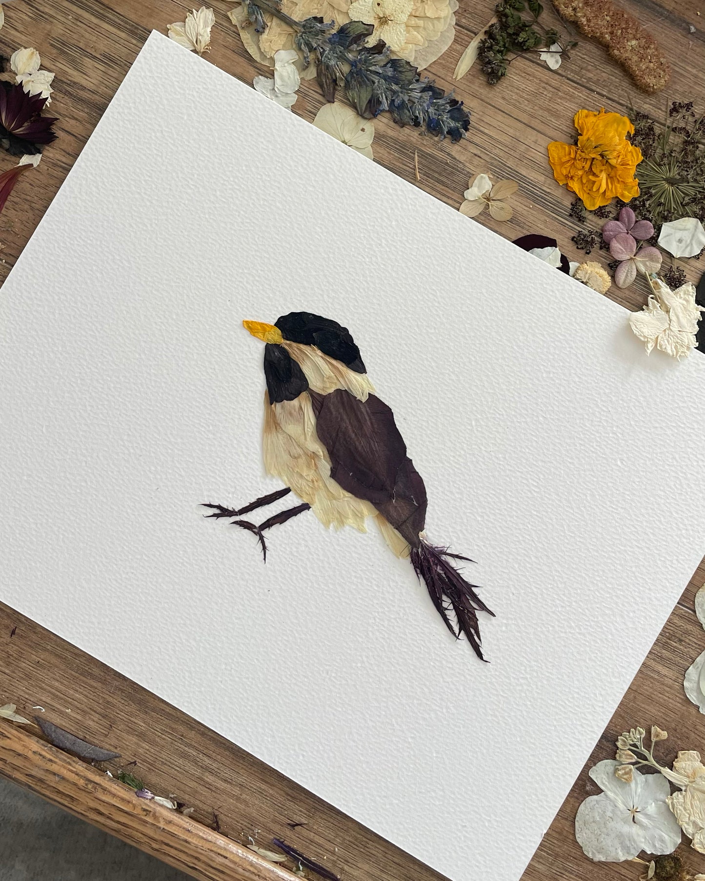 Chickadee "Winter’s Melody" - Original Pressed Flower Artwork Framed