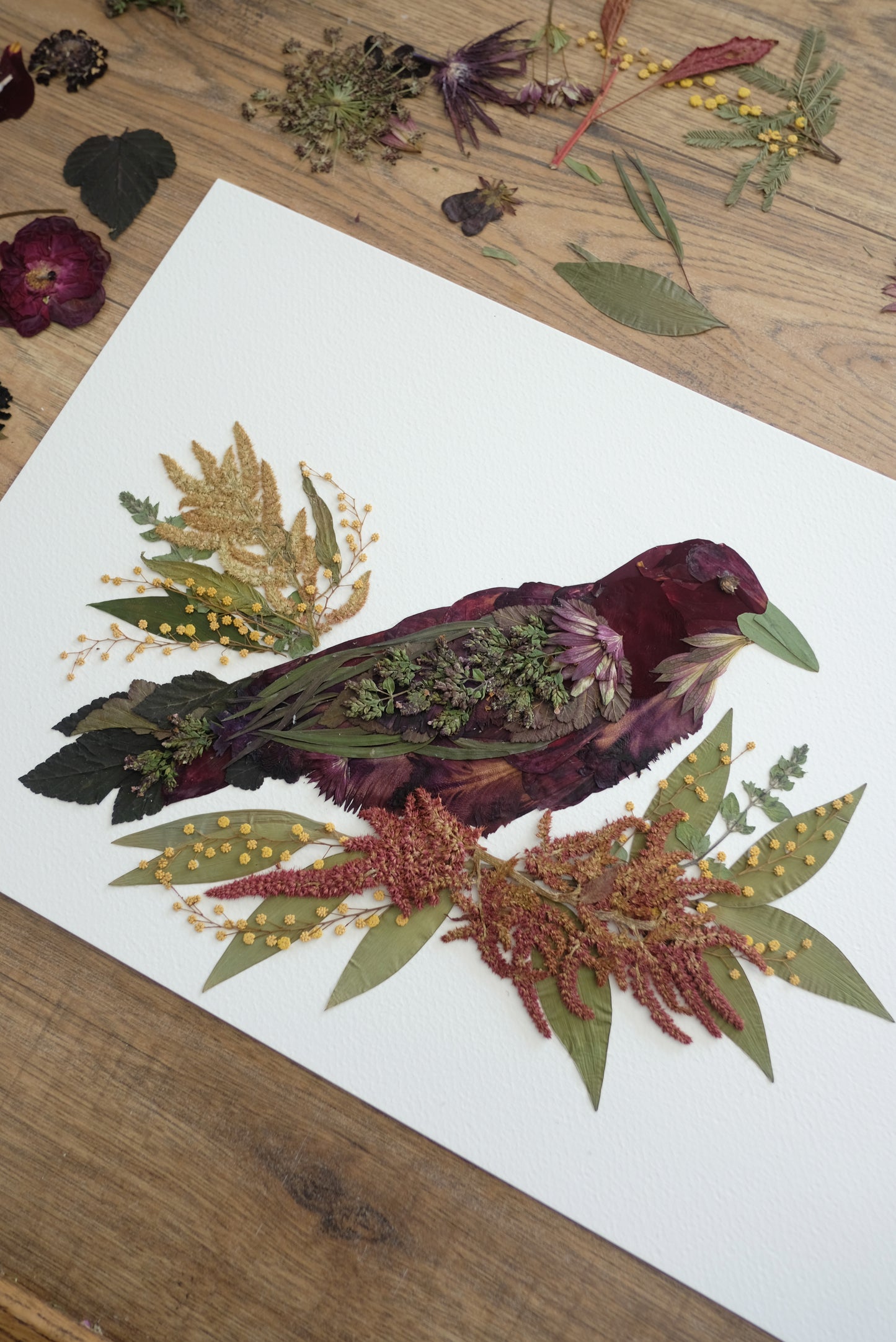 Bird Crow - Pressed Flower Print