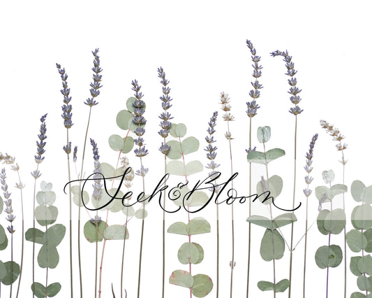 Lavender & Eucalyptus, Pressed Flower Art Print