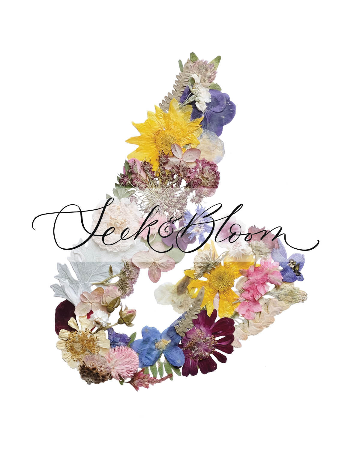 Cape Breton Flower Map, Pressed Flower Art Print