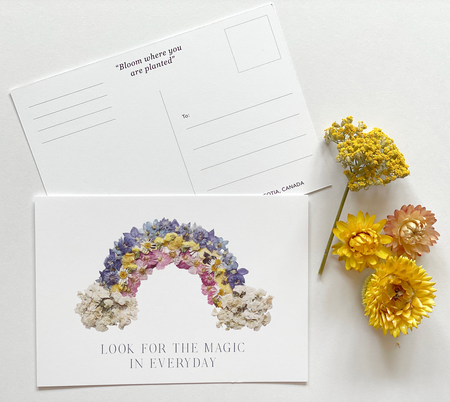 Post Card- 6 Pack Retail Set, Rainbow *Discontinued