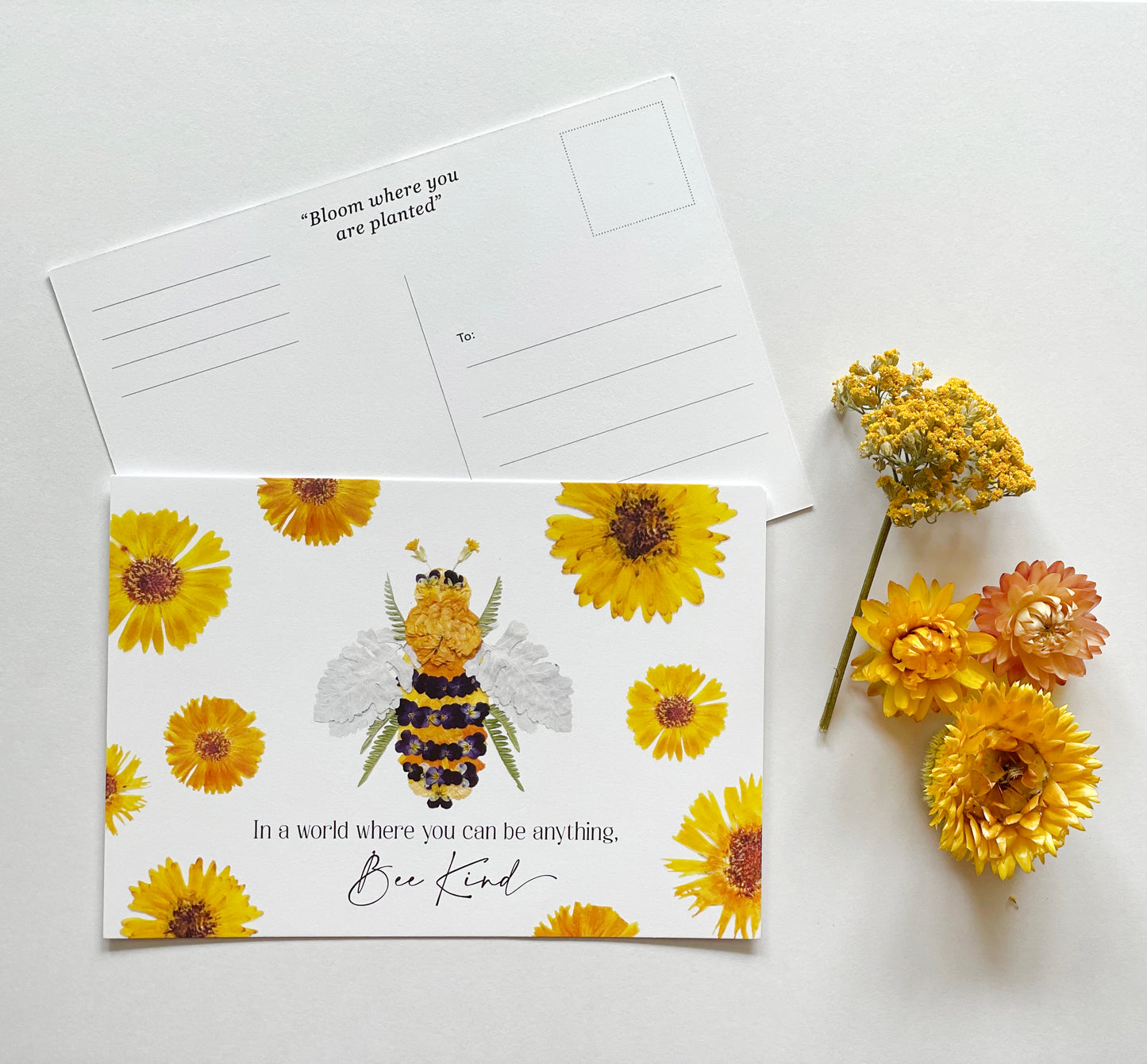 Post Card- 6 Pack Retail Set, Bee