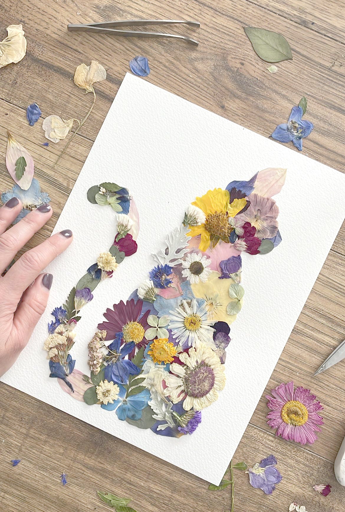 pretty pressed flower cat silhouette artwork, cat themed gift