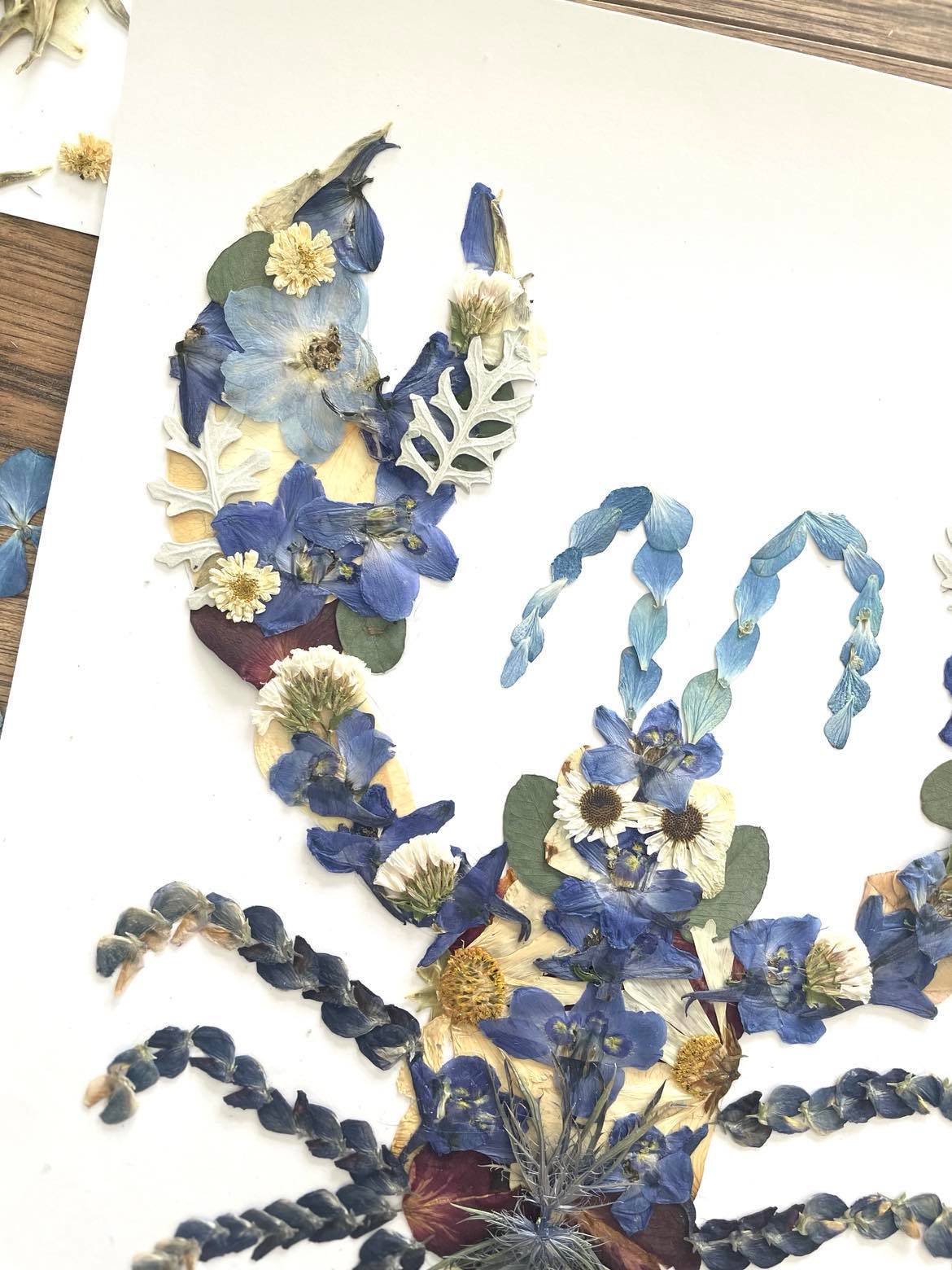 Lobster Blue Pressed Flowers, Pressed Flower Art Print