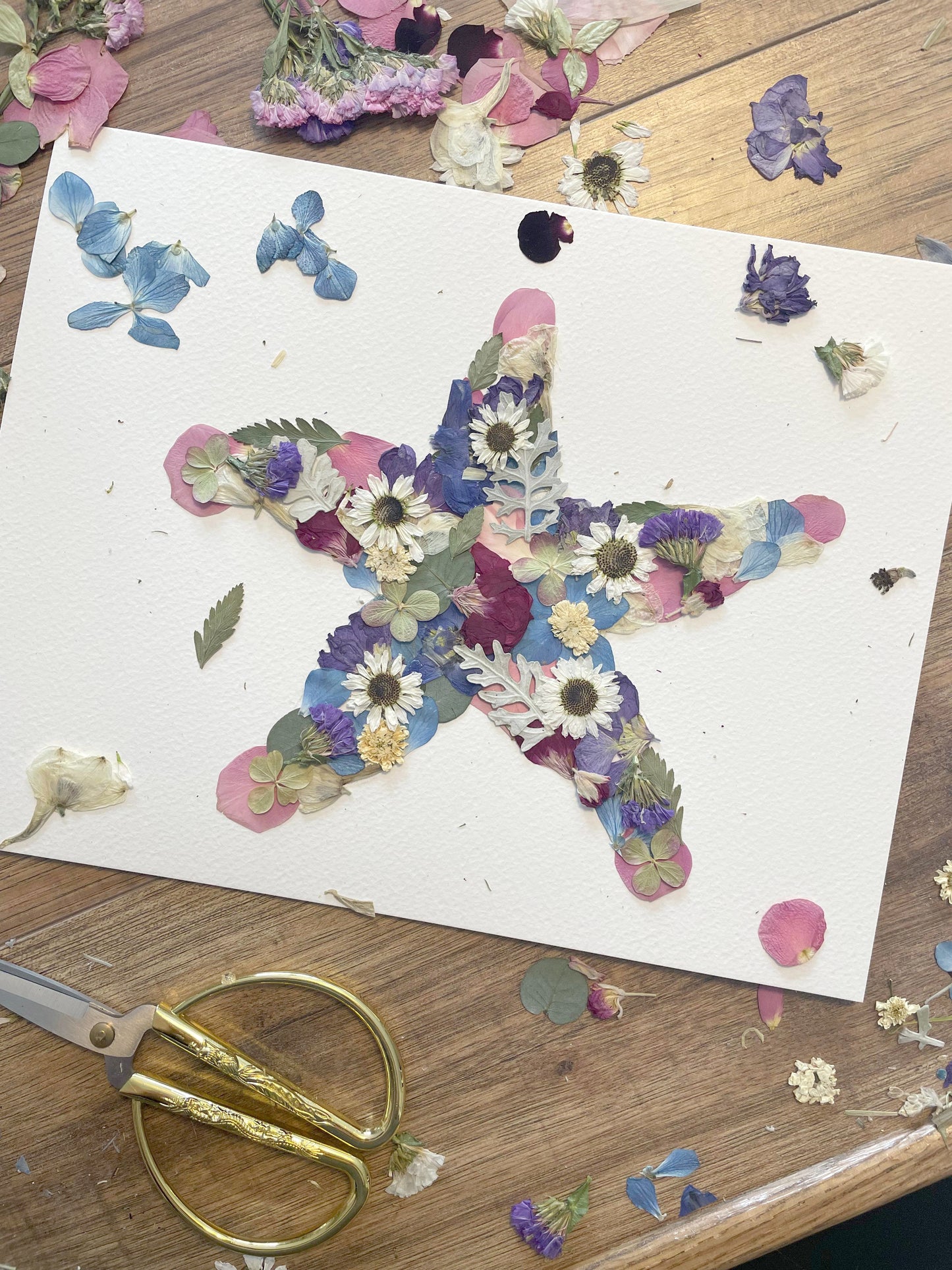 Starfish, Pressed Flower Art Print