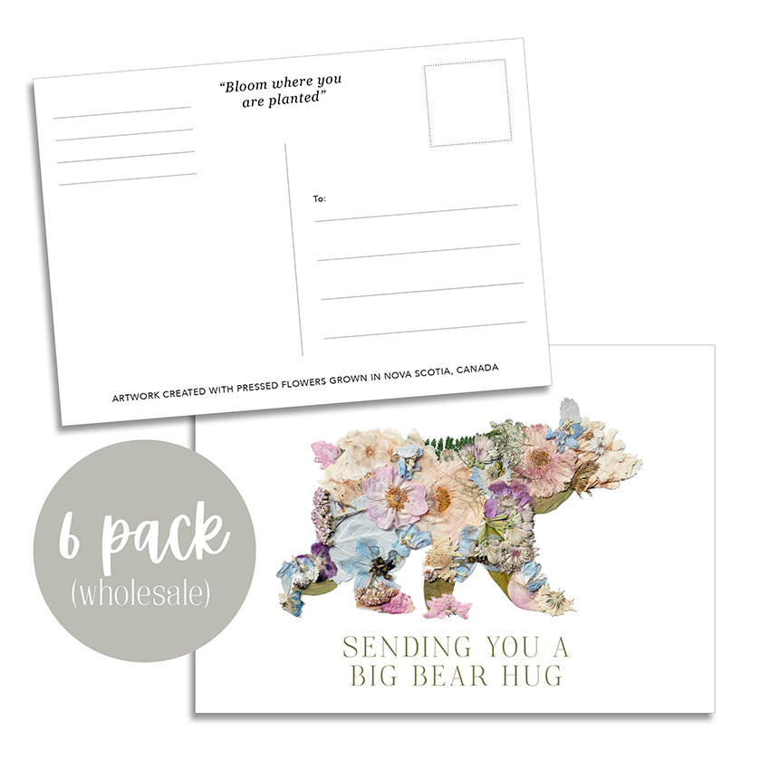 Post Card- 6 Pack Retail Set, Bear