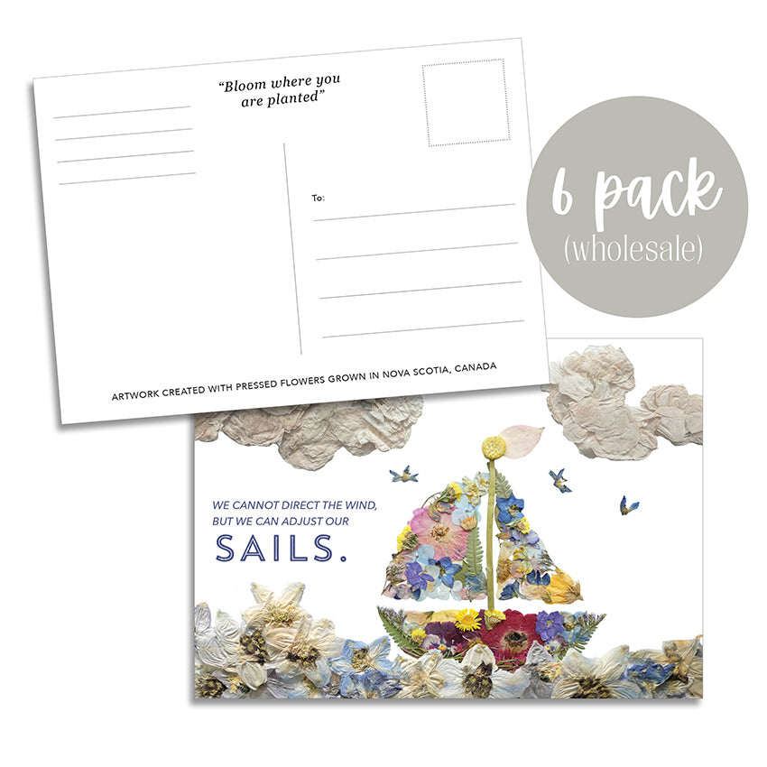 Post Card- 6 Pack Retail Set, Sailboat