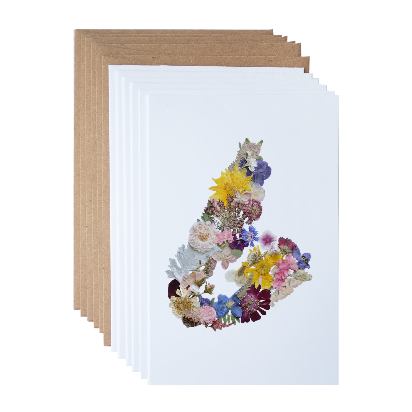 cape breton map pressed flower artwork