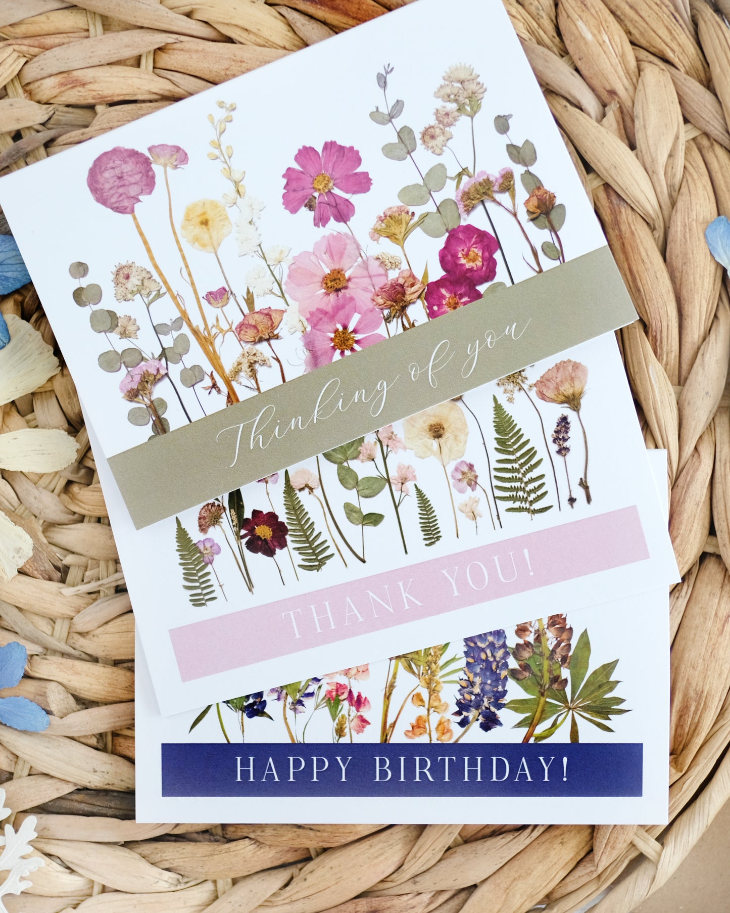 Mixed Pack, Celebration & Greeting, Note Card Set