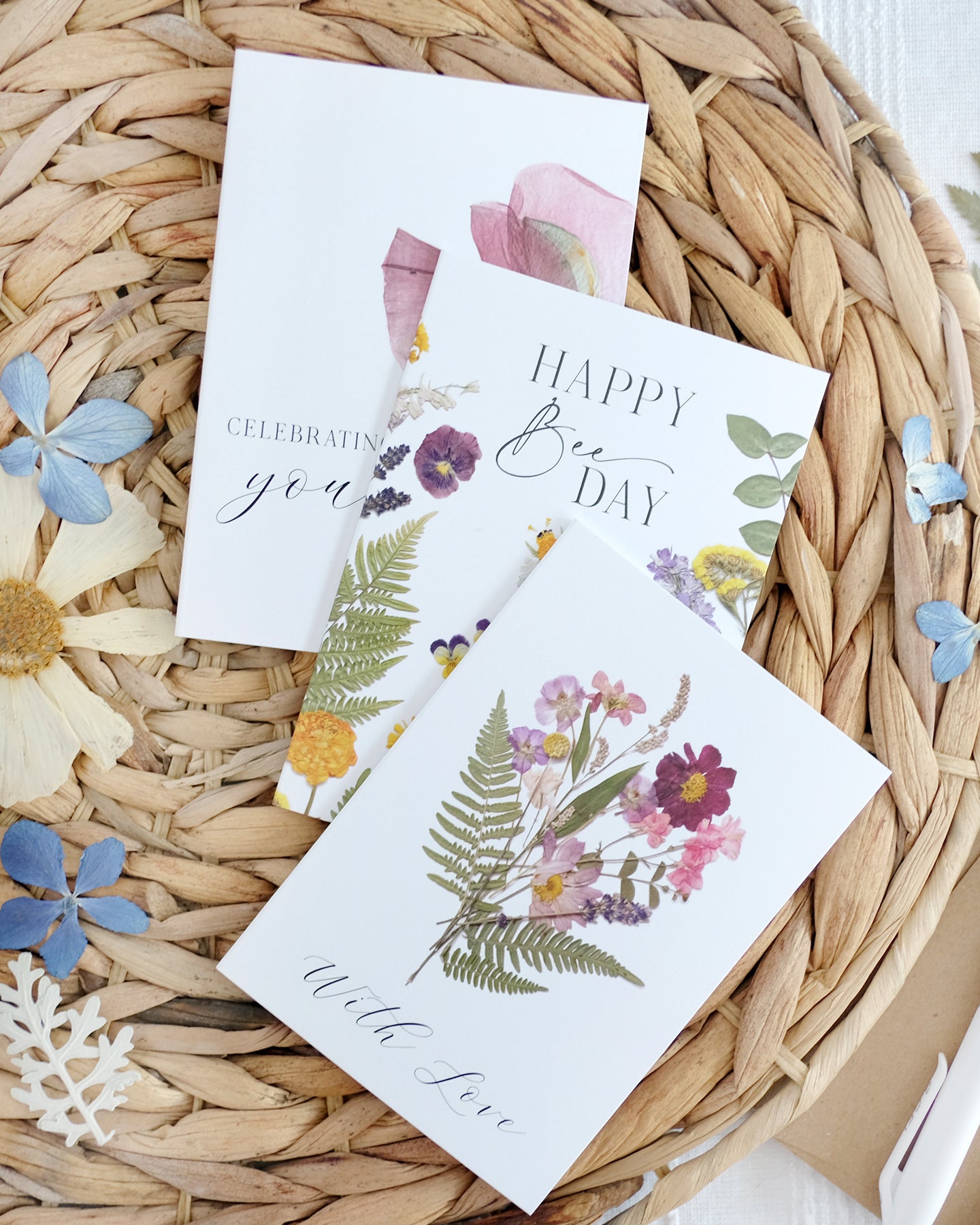 Mixed Pack, Celebration & Greeting, Note Card Set