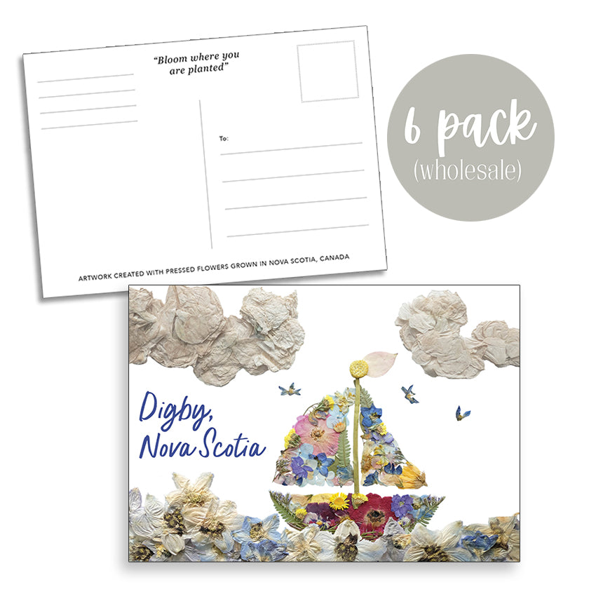 Post Card- 6 Pack Retail Set, Digby Sailboat