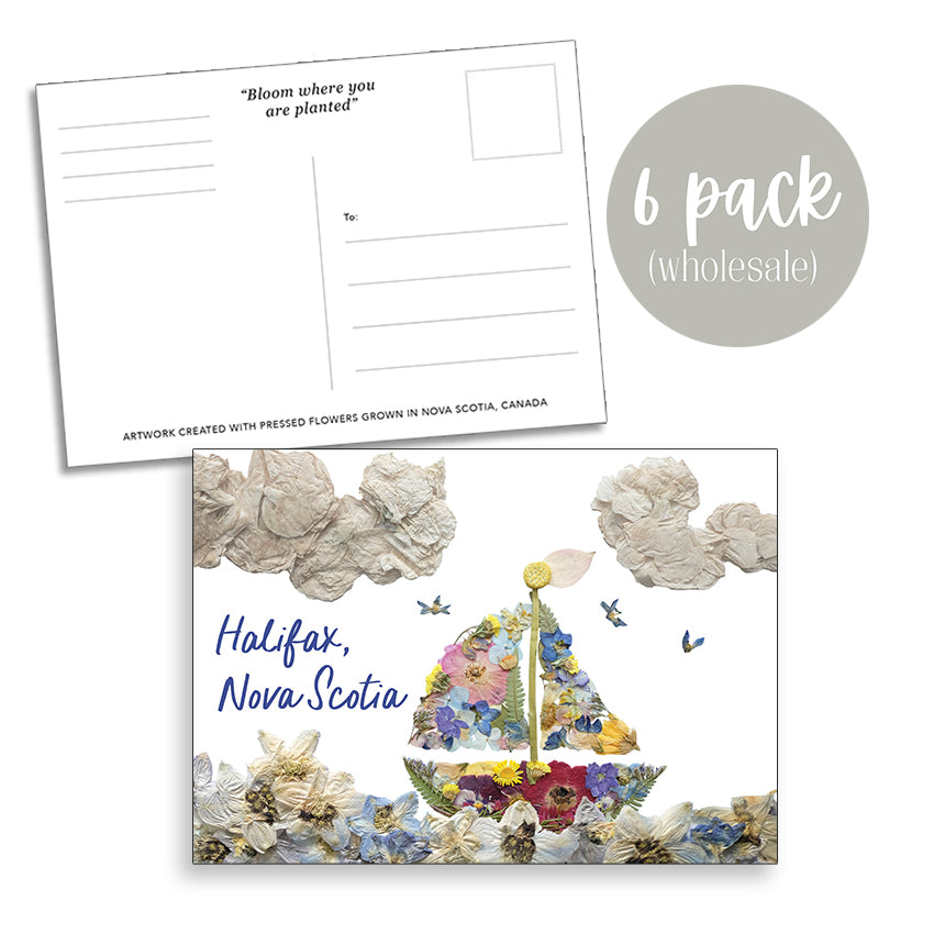 Post Card- 6 Pack Retail Set, Halifax, Sailboat