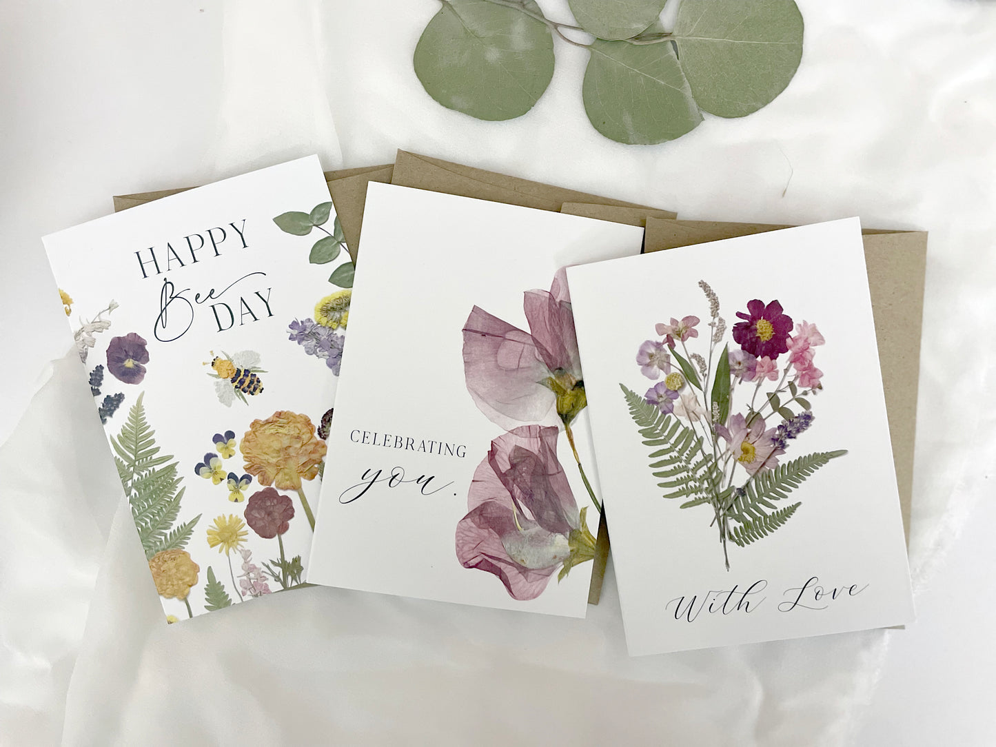 Mixed Pack, Celebration & Greeting, Note Card Set