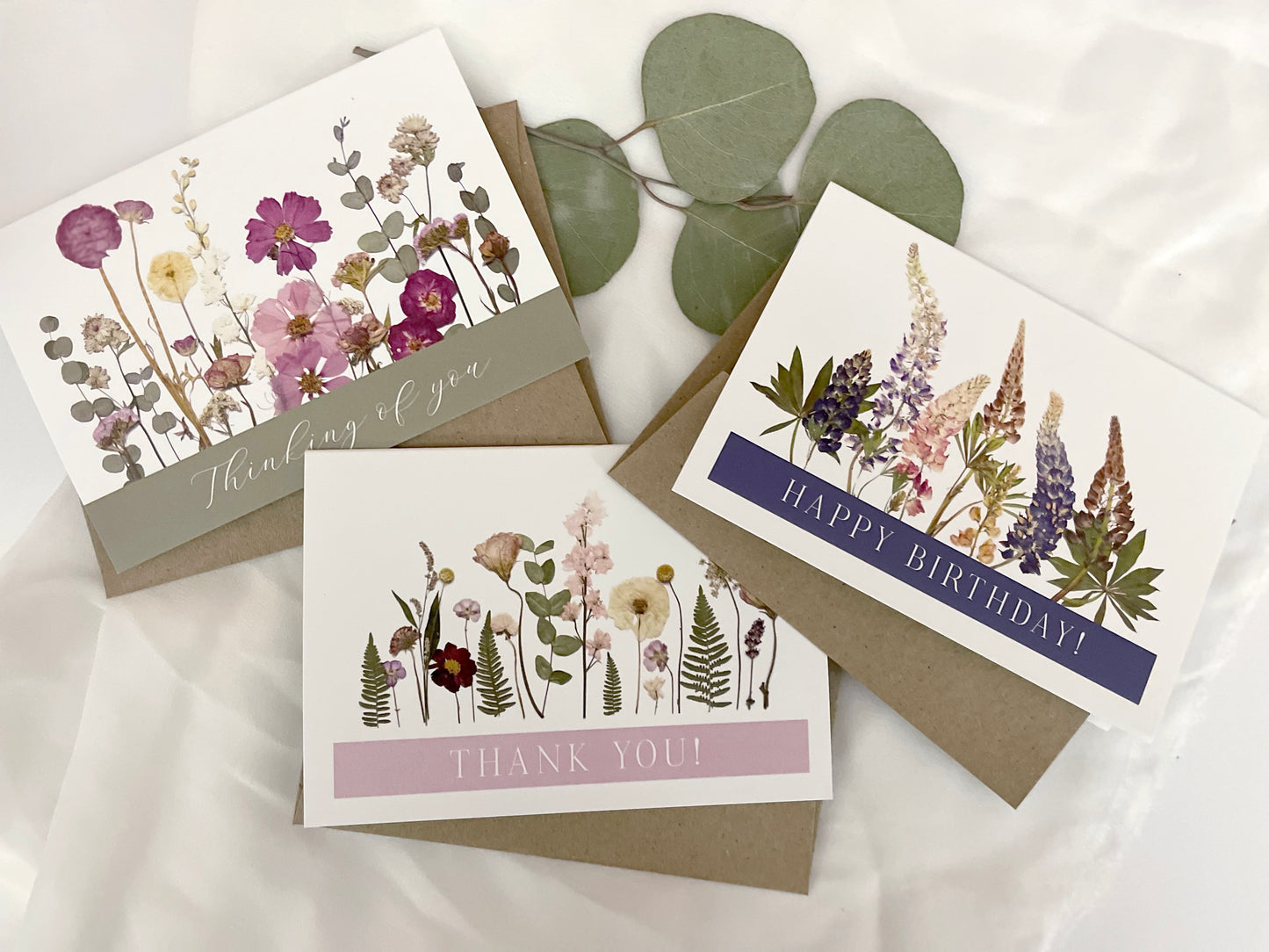 Mixed Pack, Celebration & Greeting, Note Card Set