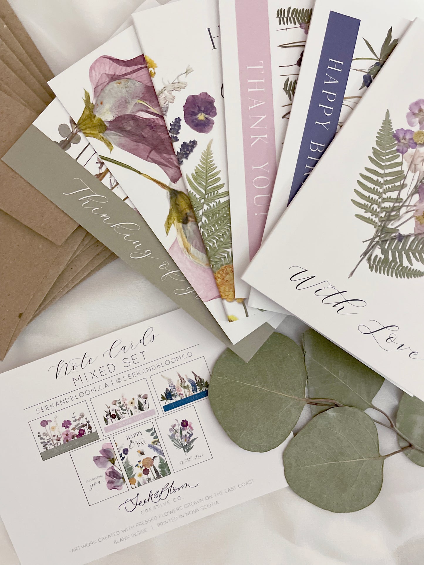 Mixed Pack, Celebration & Greeting, Note Card Set