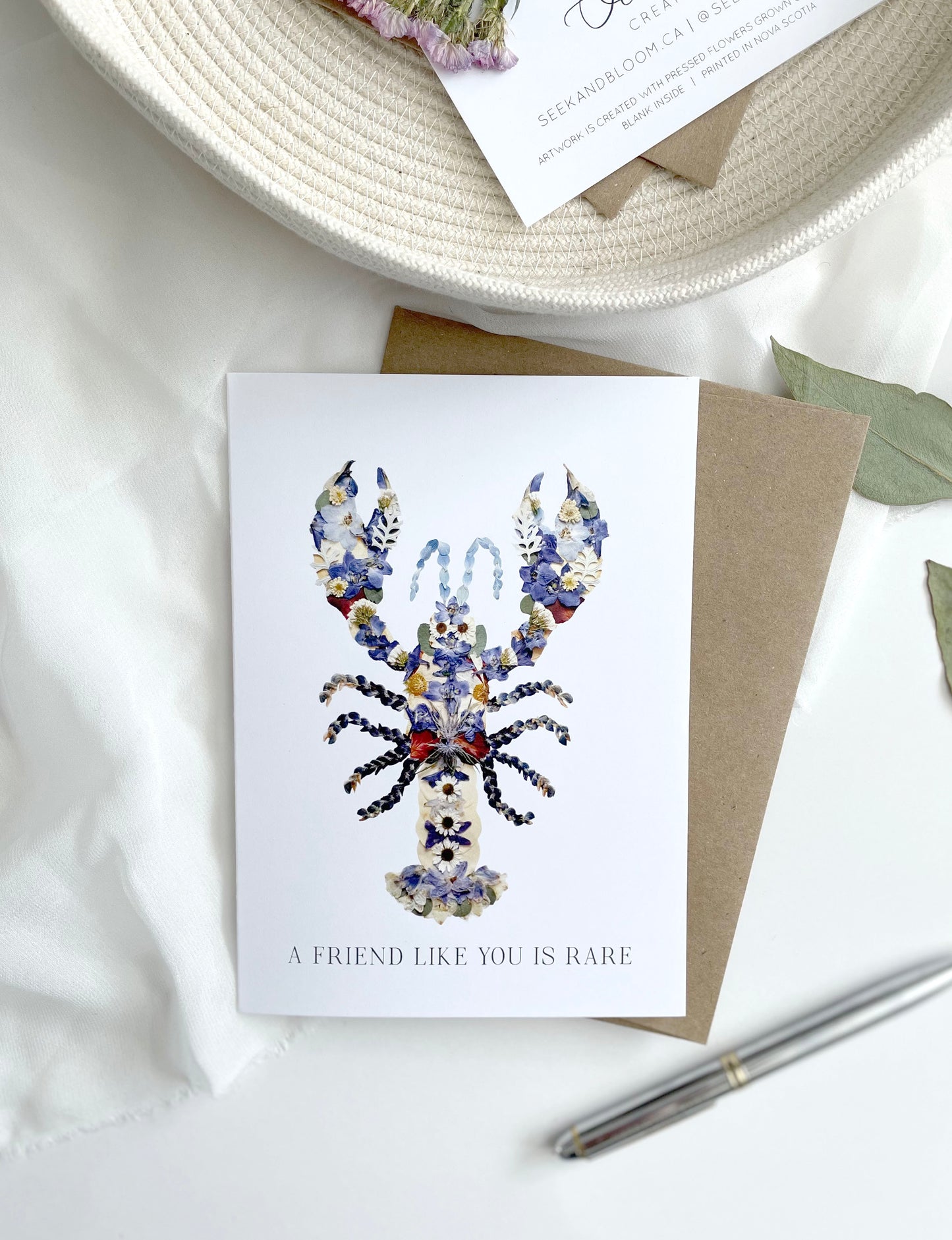 a friend like you is rare blue lobster meaning nova scotia 1 in 2 million