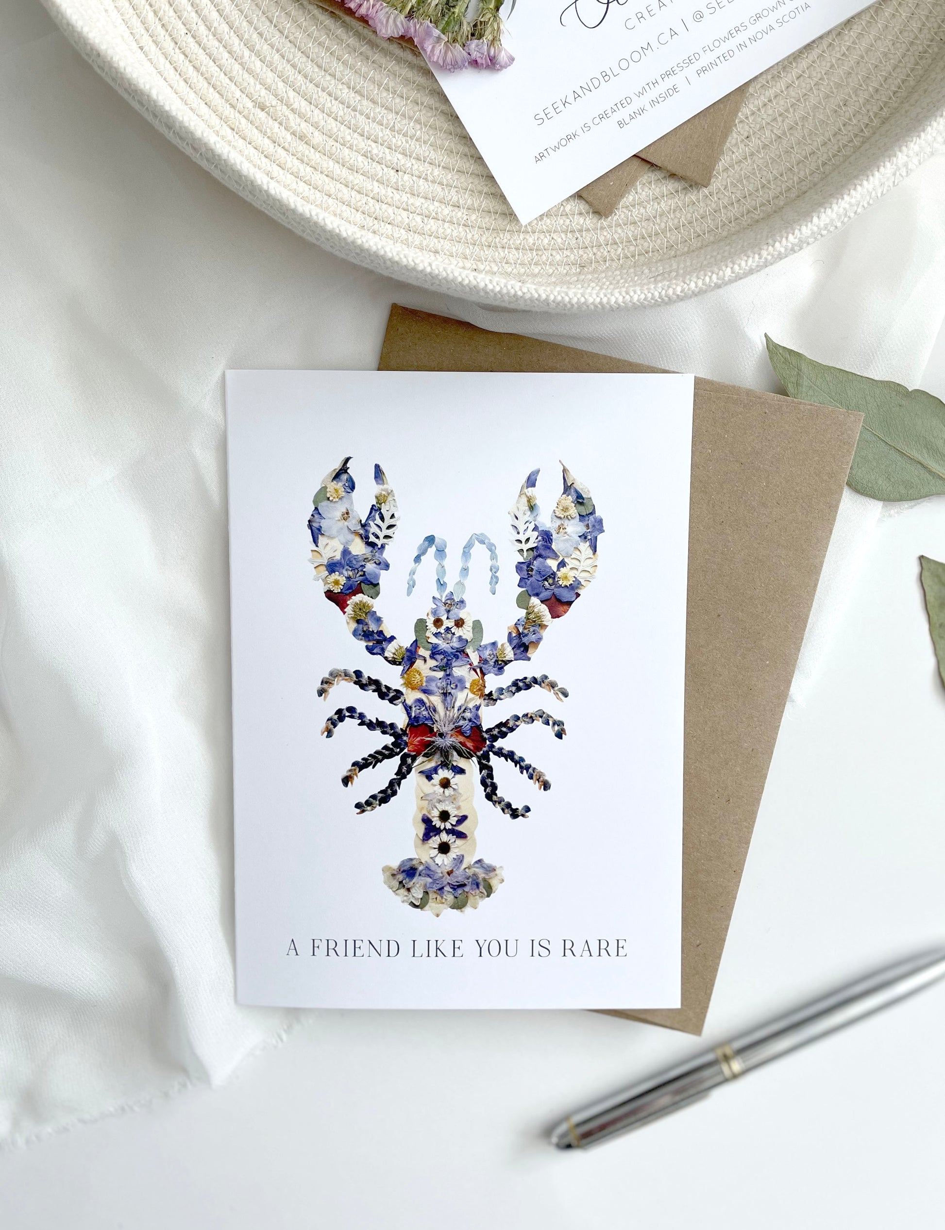 a friend like you is rare blue lobster meaning nova scotia 1 in 2 million