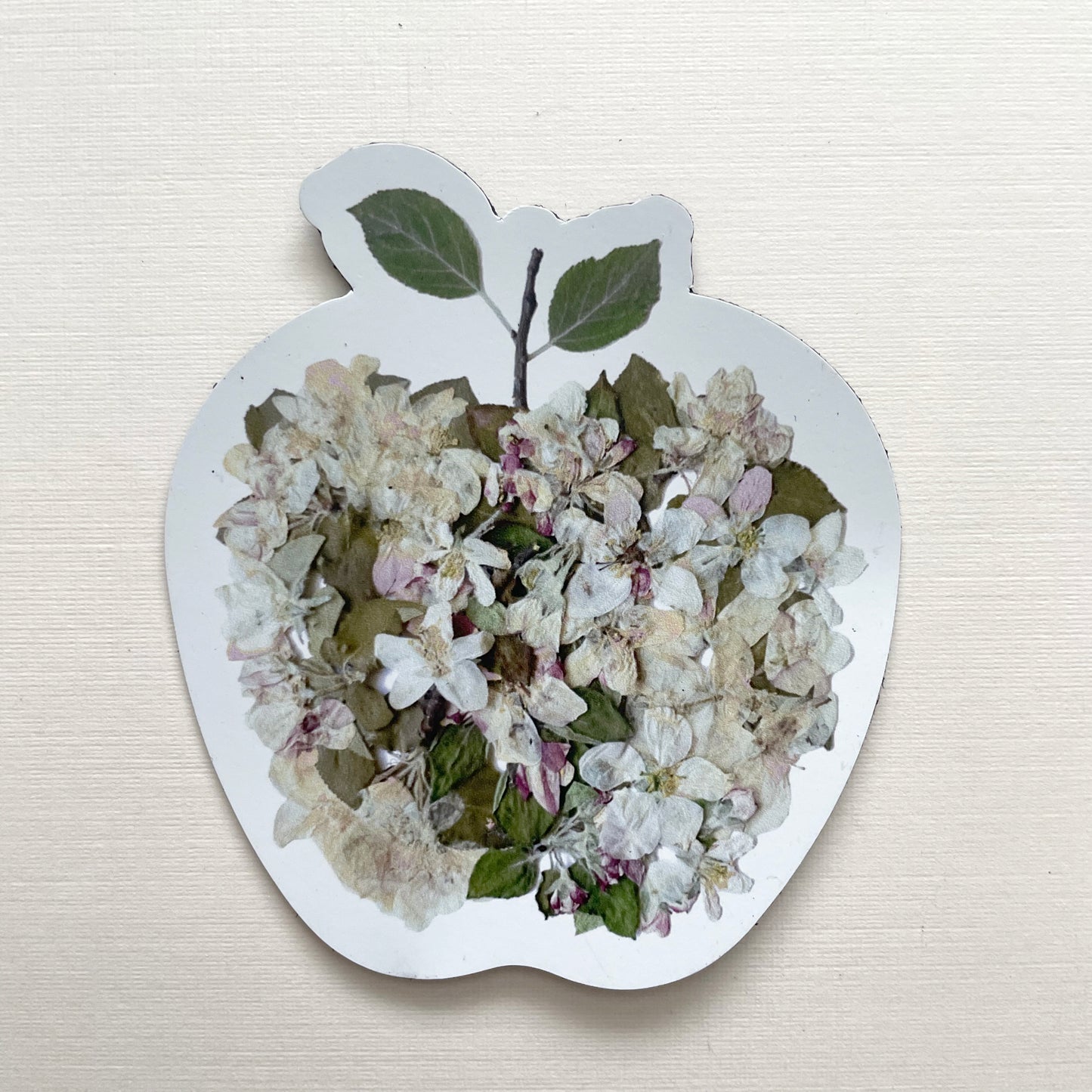 Apple Pressed Apple Blossoms, 3" Magnet