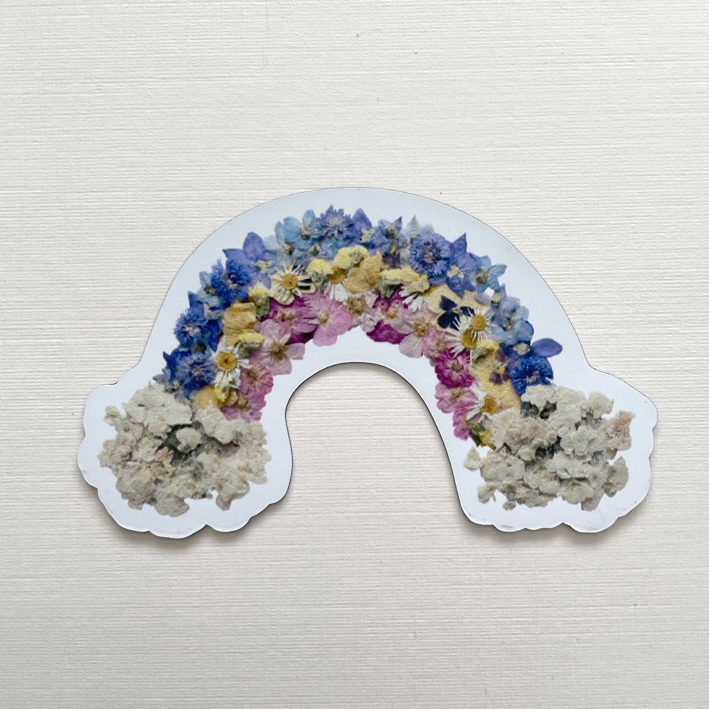 Rainbow Pressed Flower, 3" Magnet