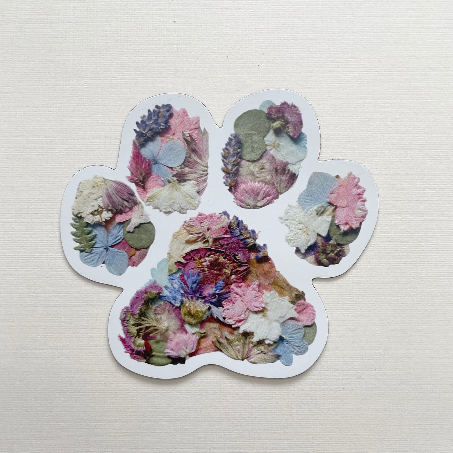 Paw Print Pressed Flower, 3" Magnet