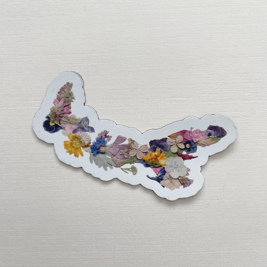 Magnet, 3" Pressed Flower Prince Edward Island