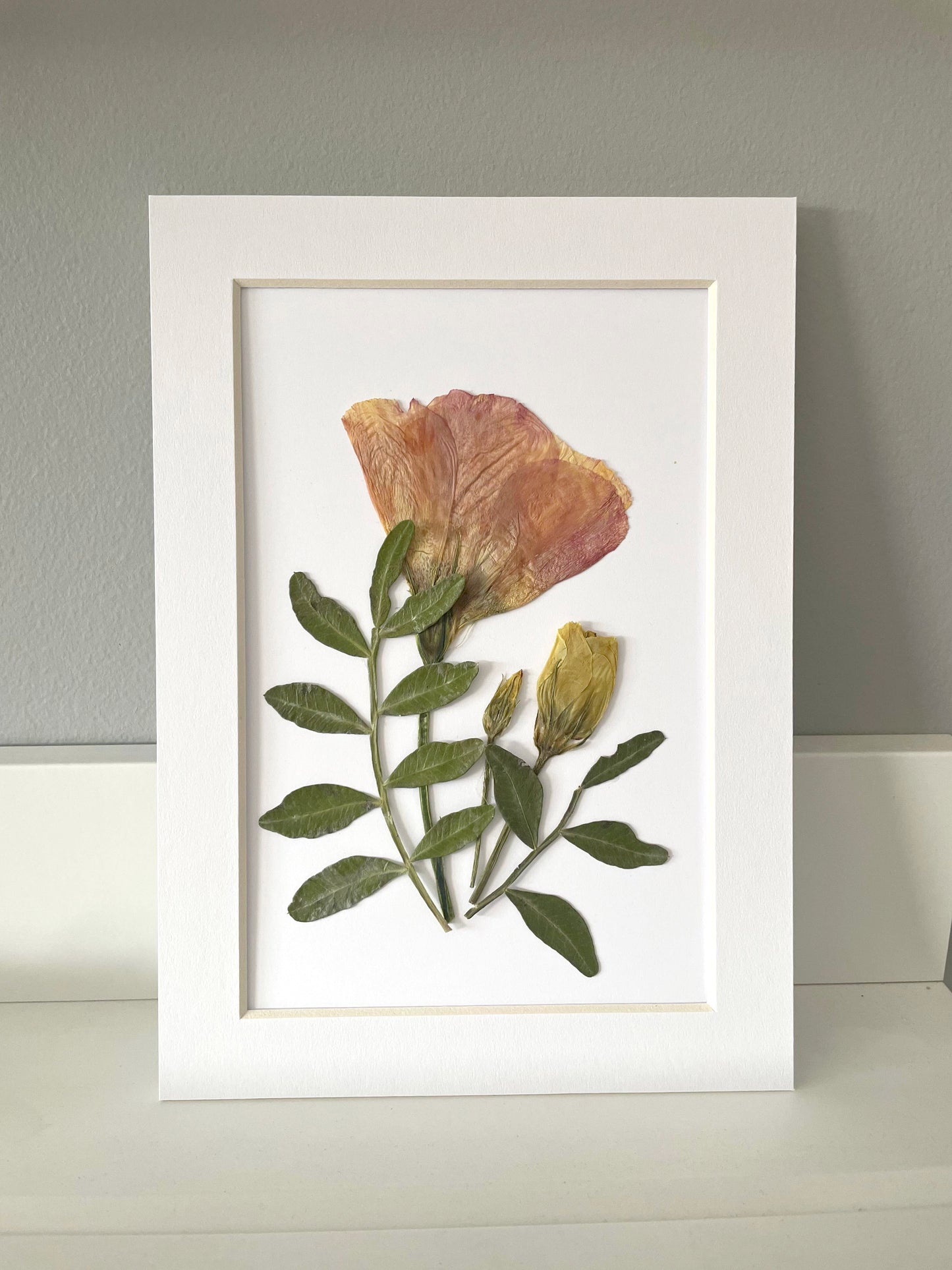 Mini Matted Original Flower Art 4x6