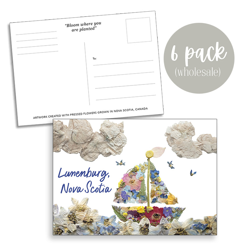 Post Card- 6 Pack Retail Set, Lunenburg, NS Sailboat