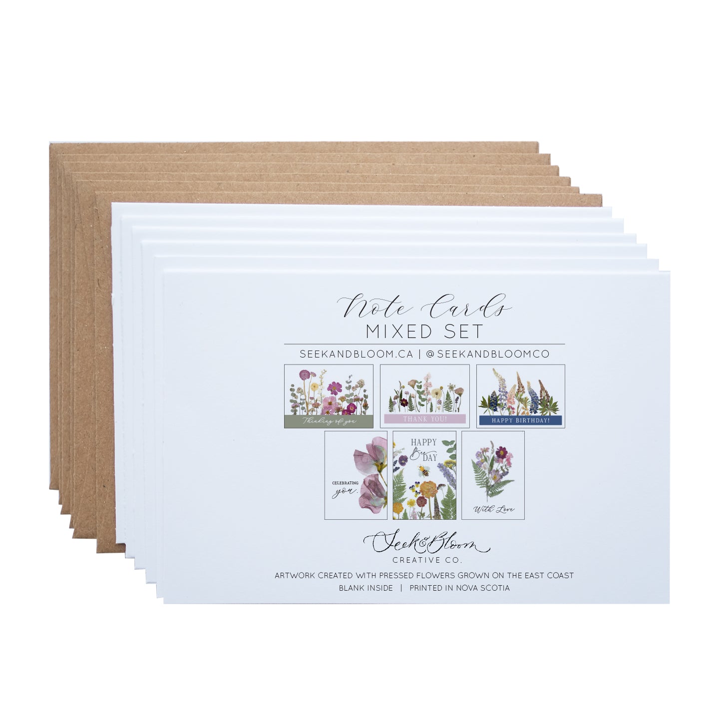 Mixed Pack, Celebration & Greeting, Note Card Set