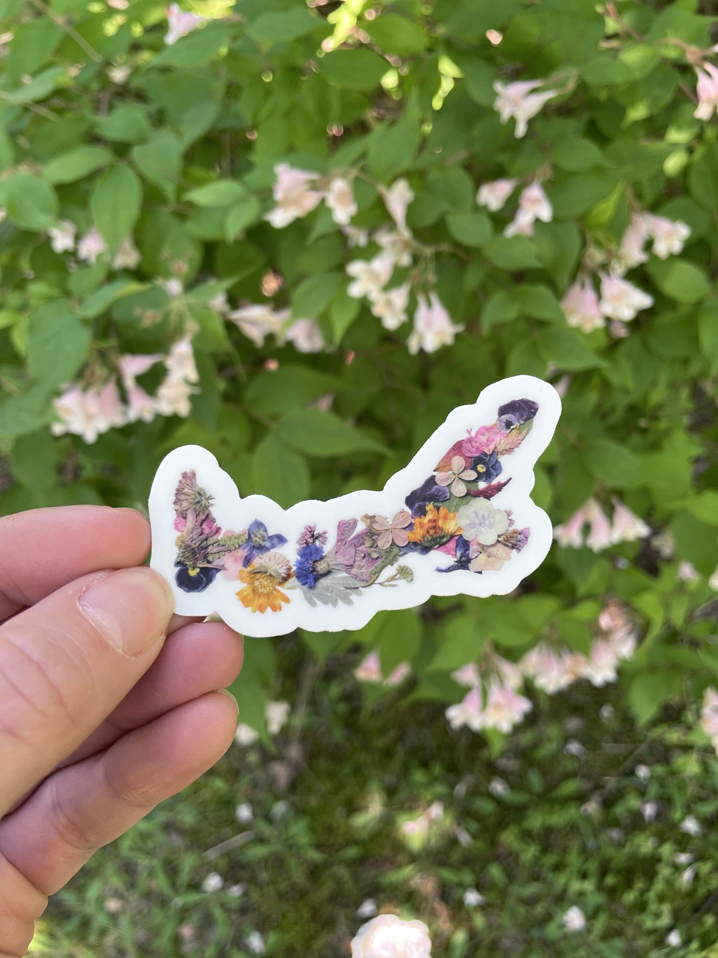 Prince Edward Island Map Pressed Flower, Sticker 3"