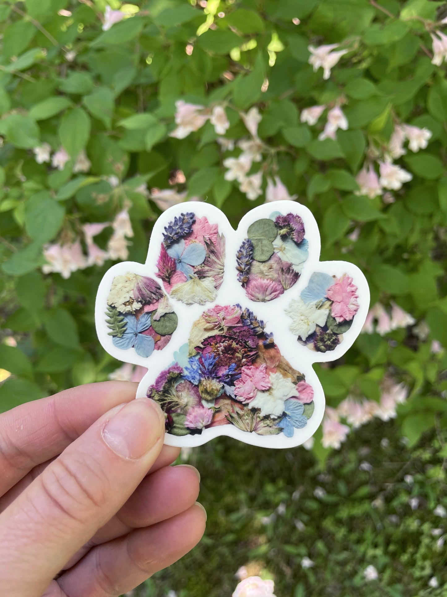 Paw Print Pressed Flowers, Sticker 3"