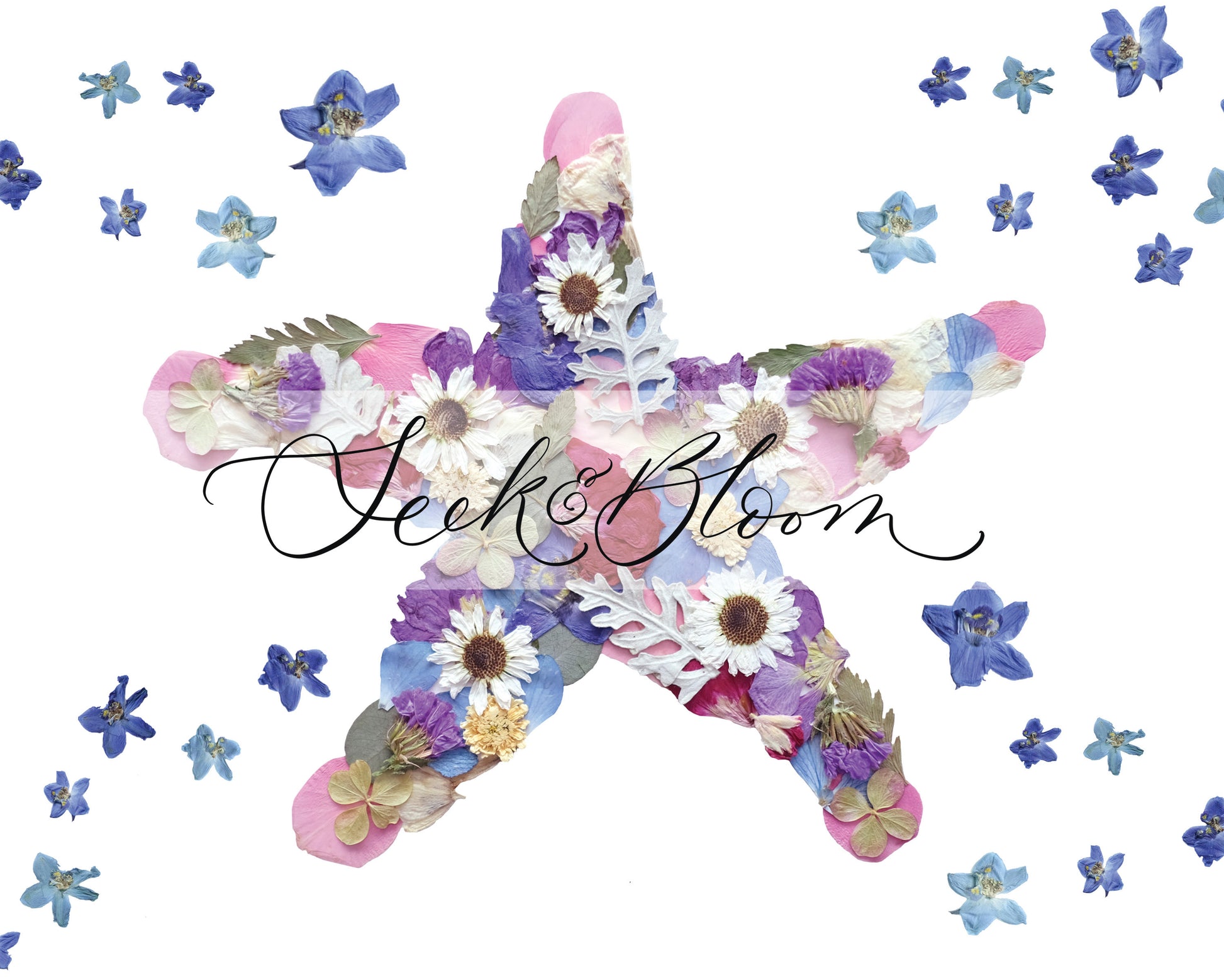 pressed flower colourful cute starfish artwork starfish symbolism