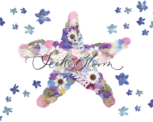 pressed flower colourful cute starfish artwork starfish symbolism