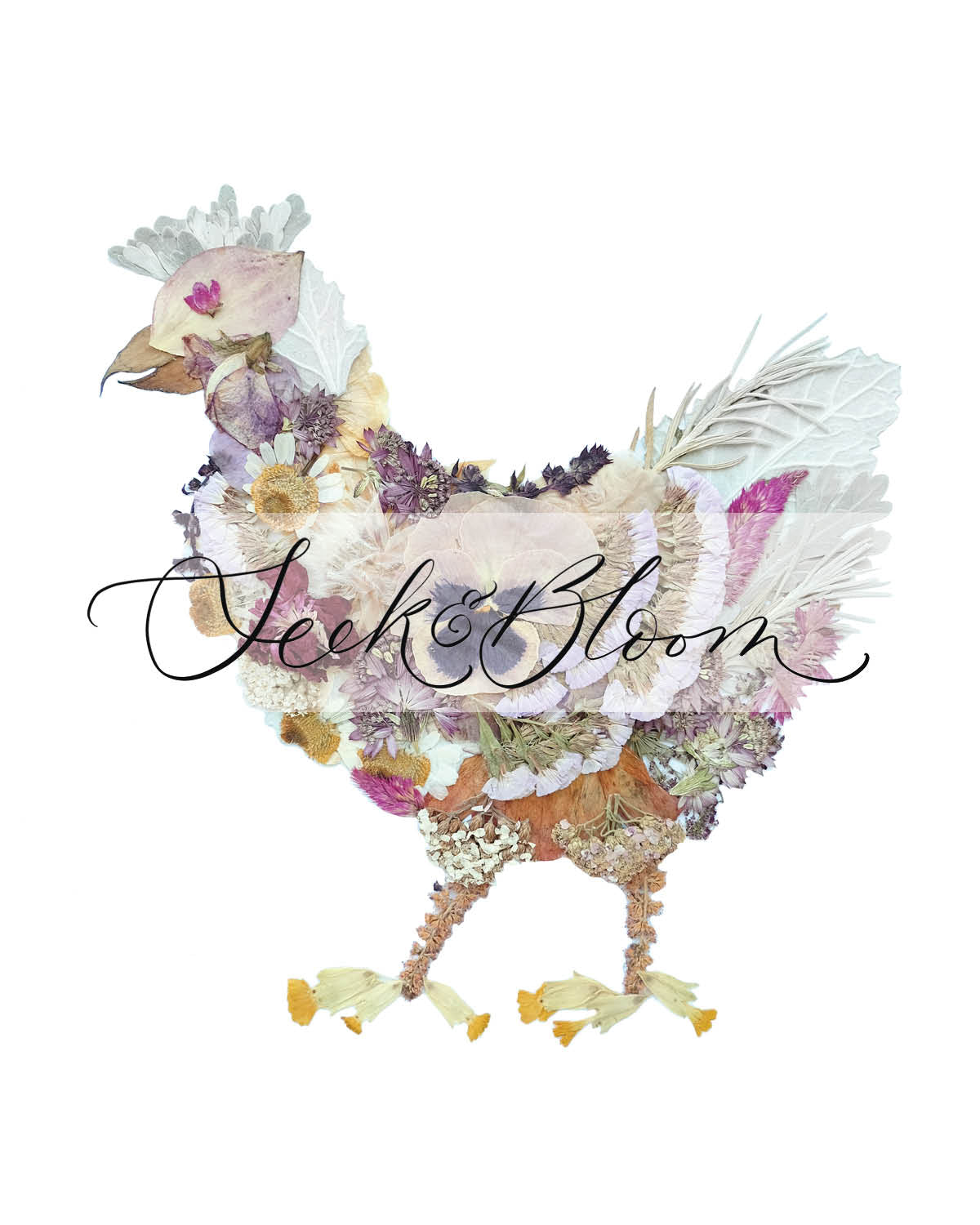 Chicken, Pressed Flower Art Print