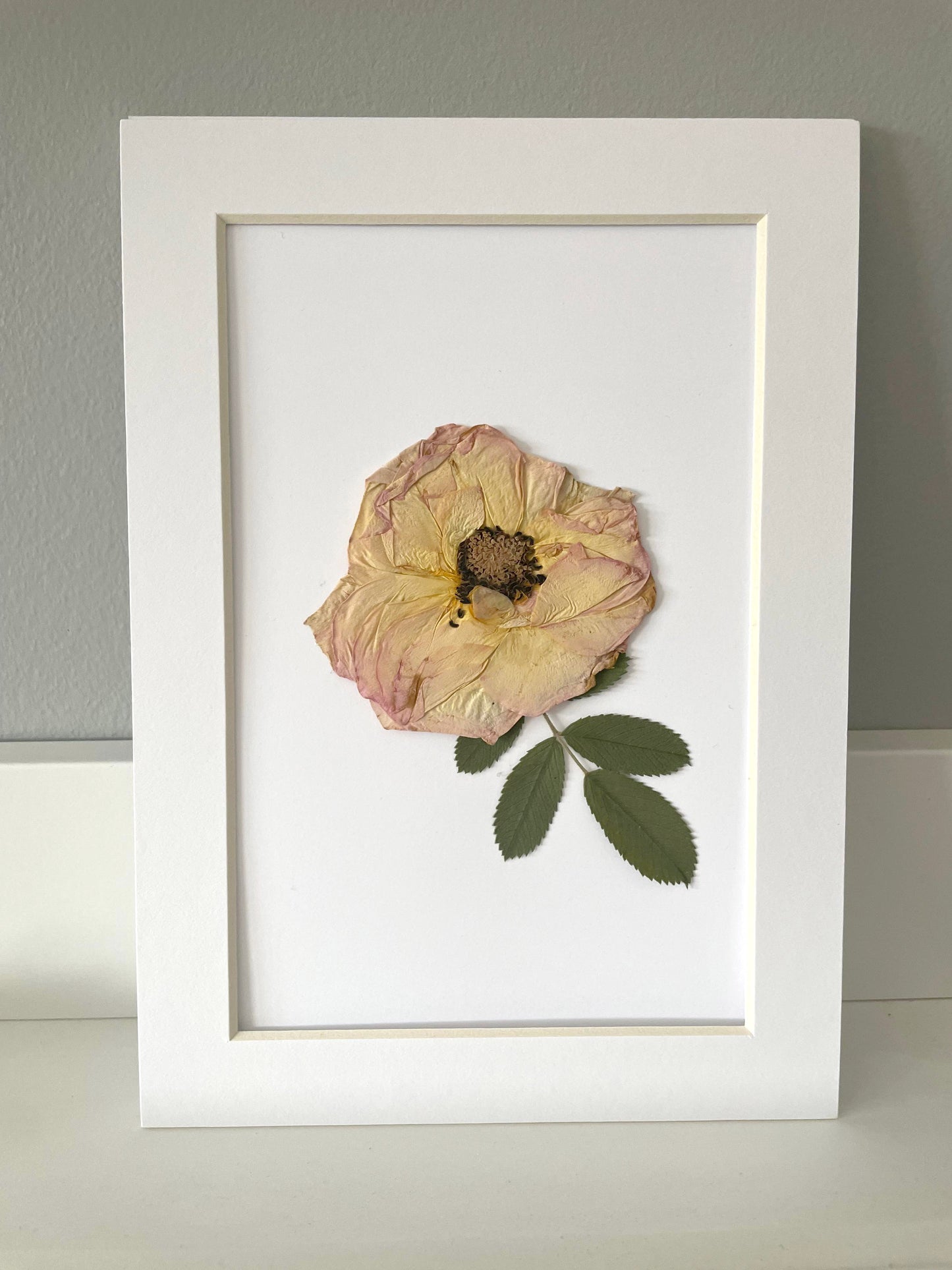 Mini Matted Original Flower Art 4x6