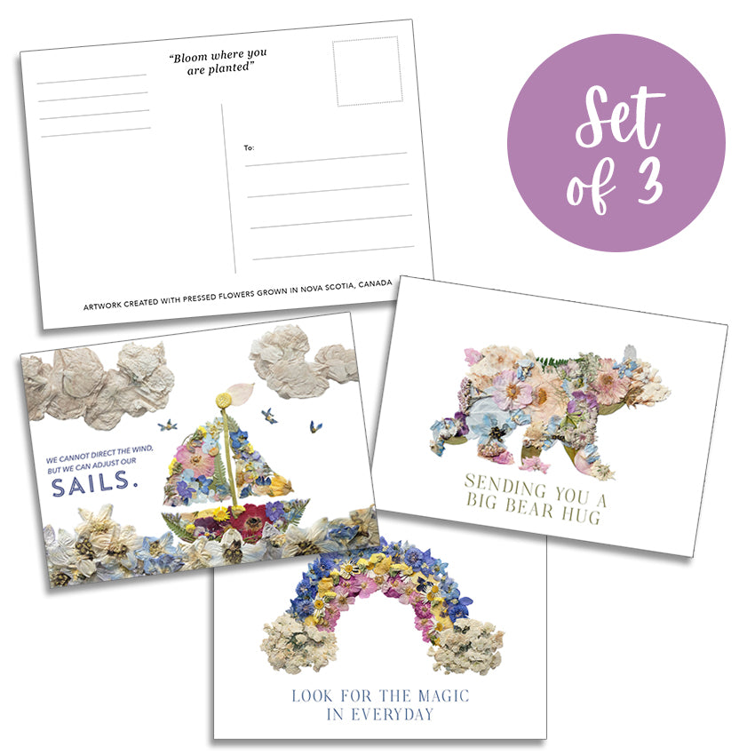 Post Cards- Set of 3 Pressed Flower Art Postcards - Nautical Sailboat, Bear, Rainbow