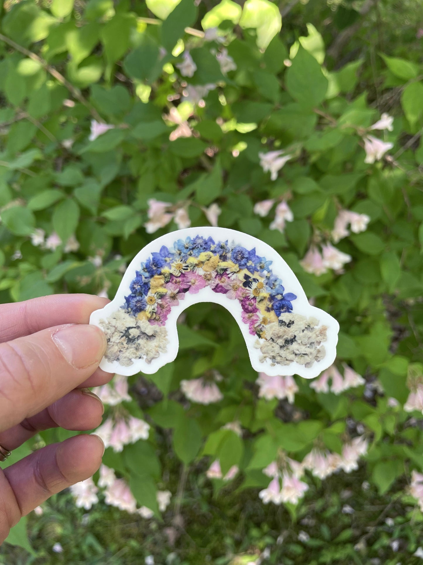 Rainbow Pressed Flowers, Sticker 3"