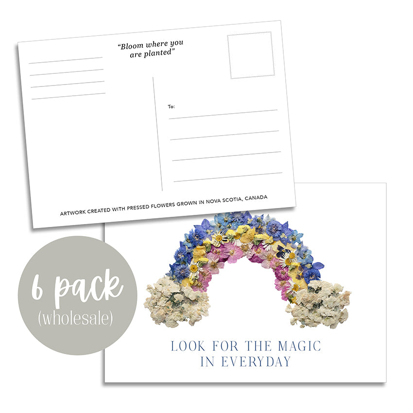Post Card- 6 Pack Retail Set, Rainbow *Discontinued