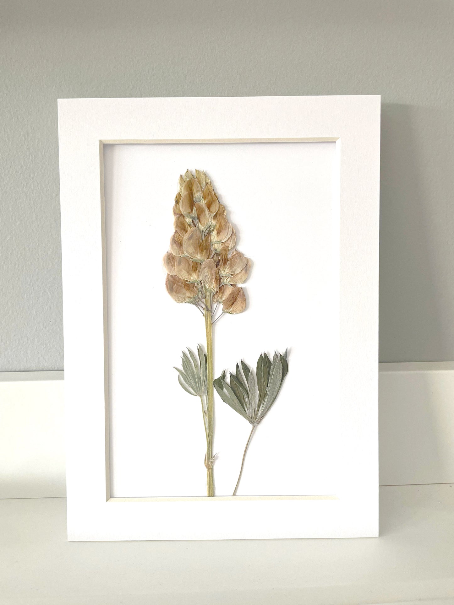 Mini Matted Original Flower Art 4x6