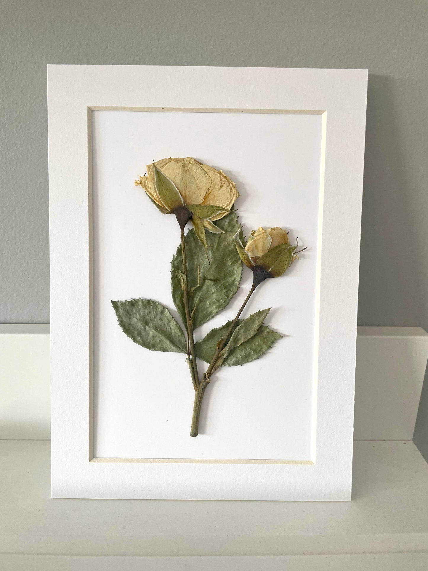 Mini Matted Original Flower Art 4x6