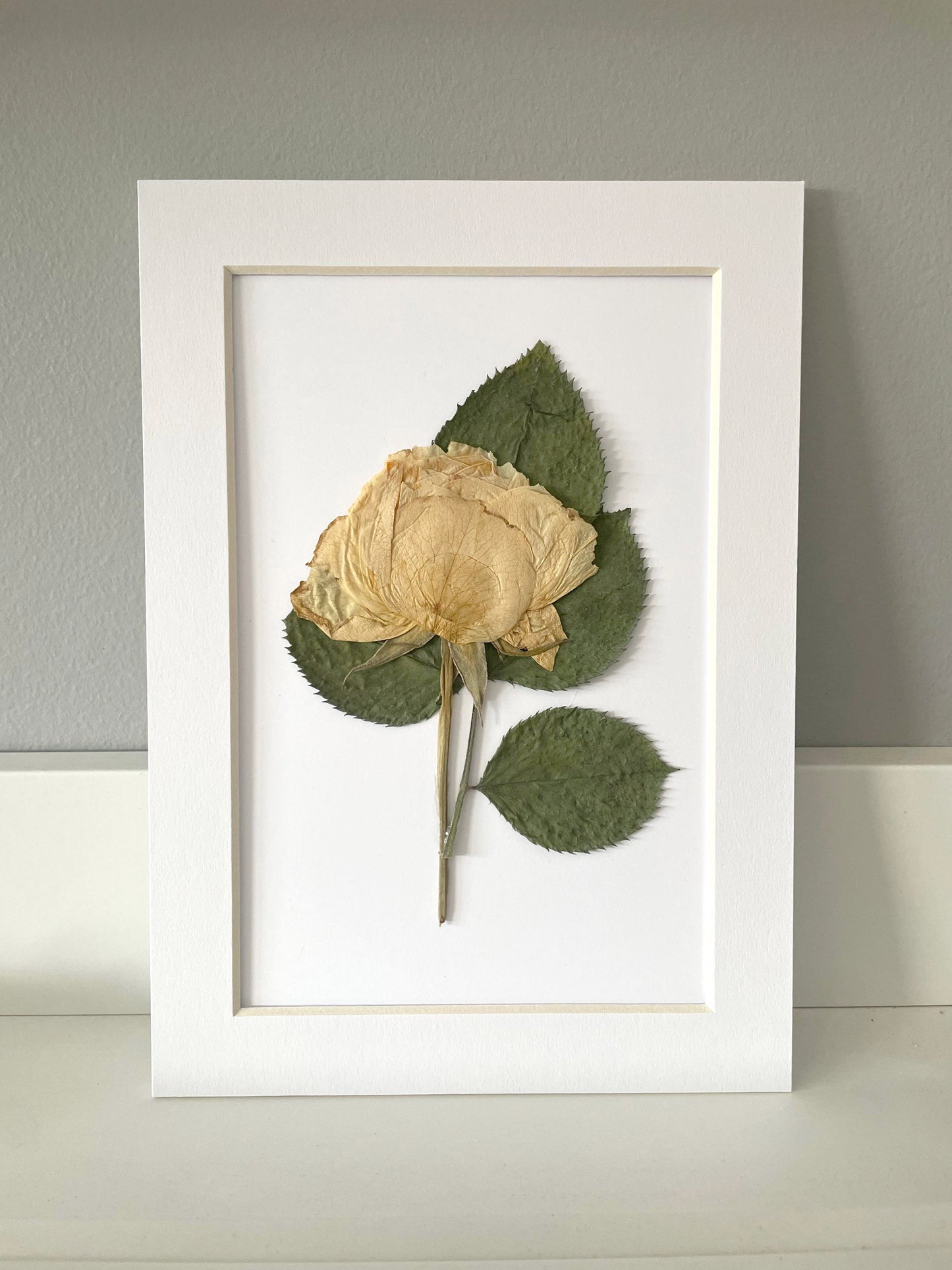 Mini Matted Original Flower Art 4x6