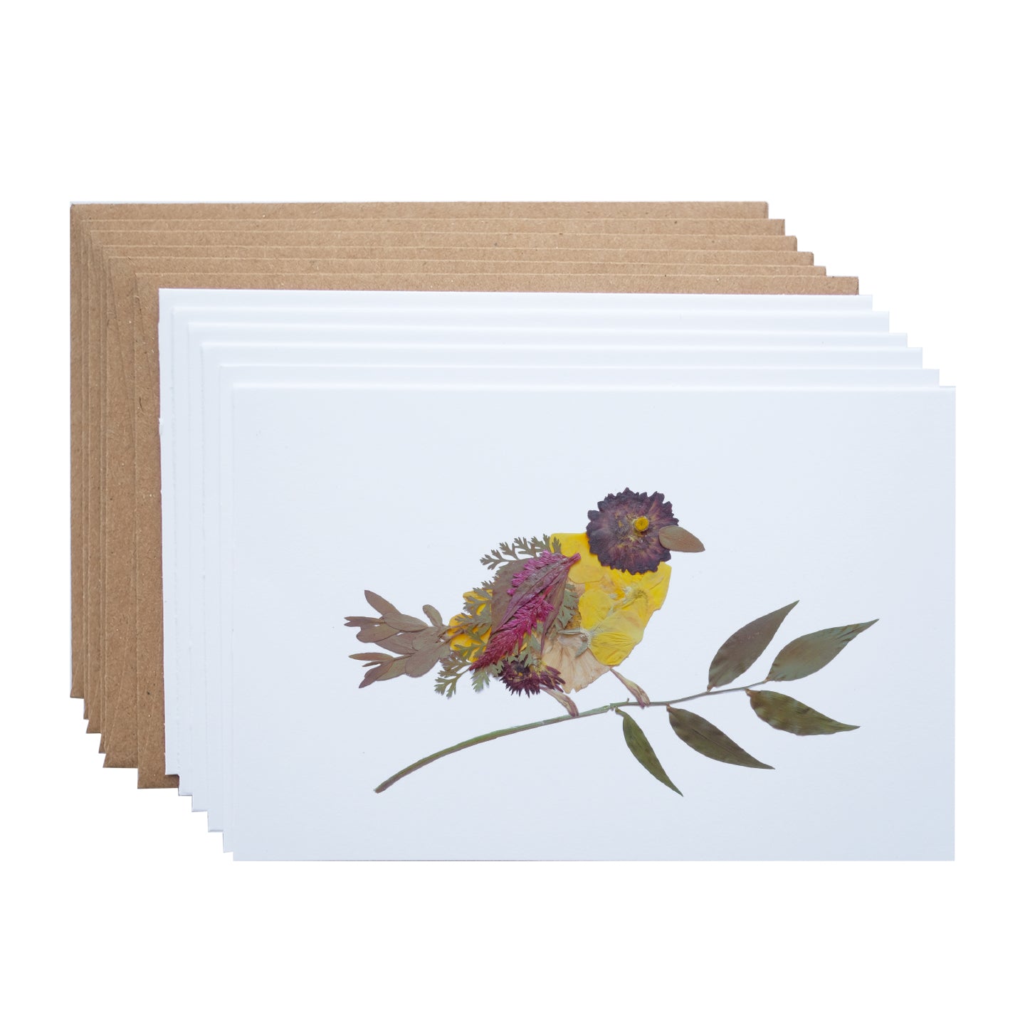 Bird Yellow Pressed Flower, Note Card Set